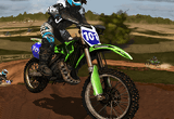 Dirty Wheeler Motocross