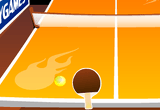 Ping Pong Profissional