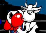 Boxe das Vacas